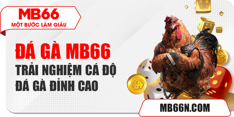 Đá gà Mb66 sân chơi cá cược đá gà online chất lượng